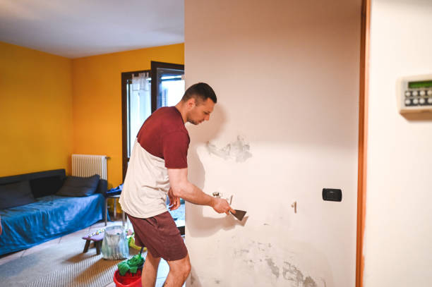 Best Mold Testing and Removal  in Brooklyn, IN